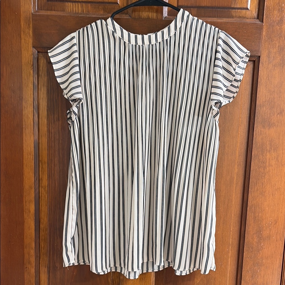 Adrianna Papell Black and Cream Cap Sleeve Blouse